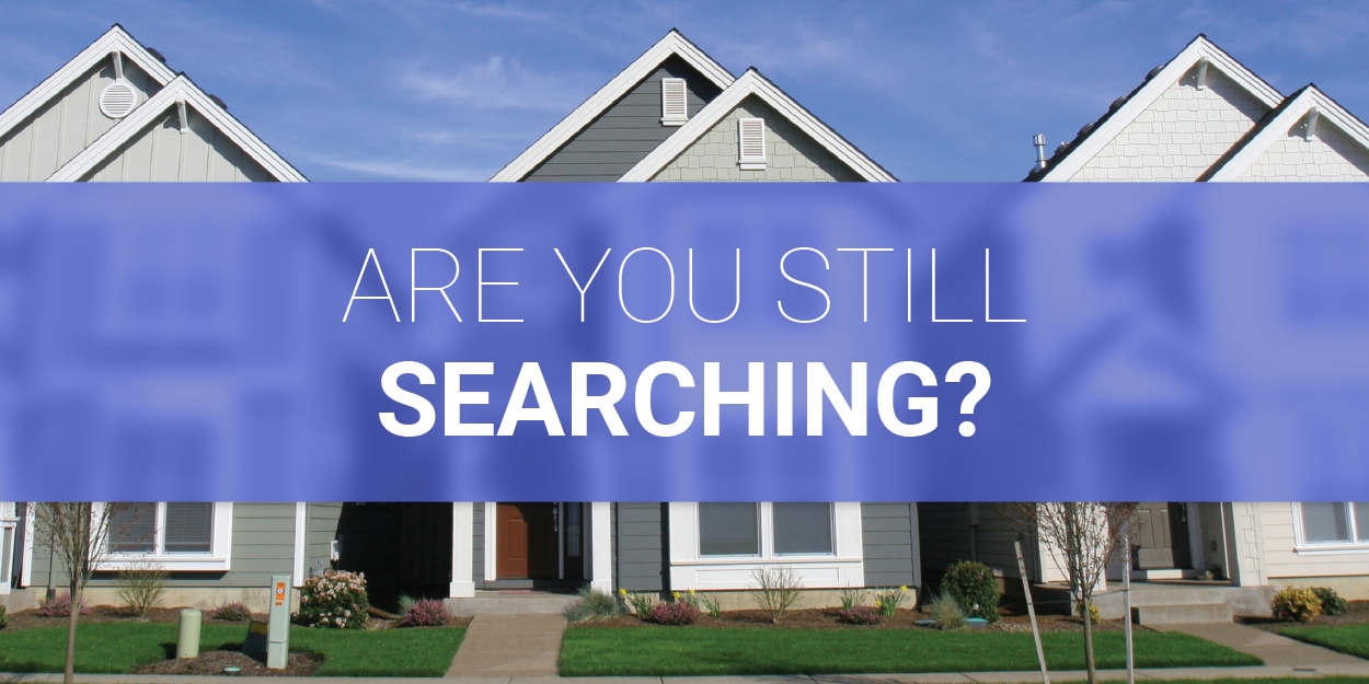 Are you still searching?