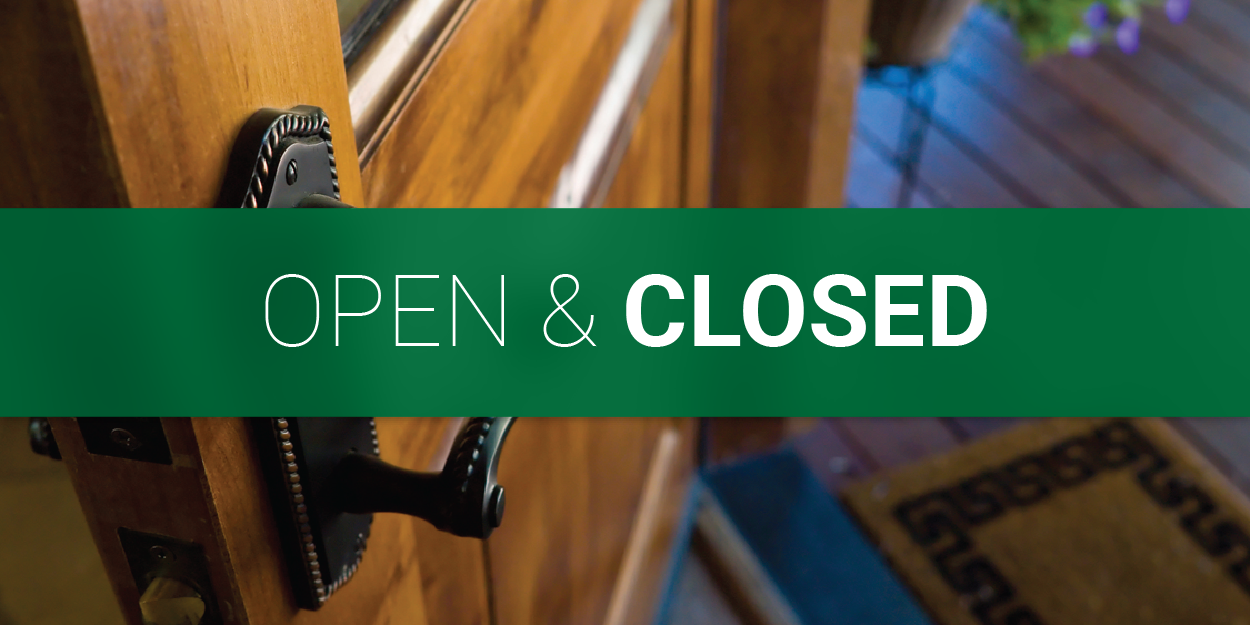 Velma Credit Tips Campaign